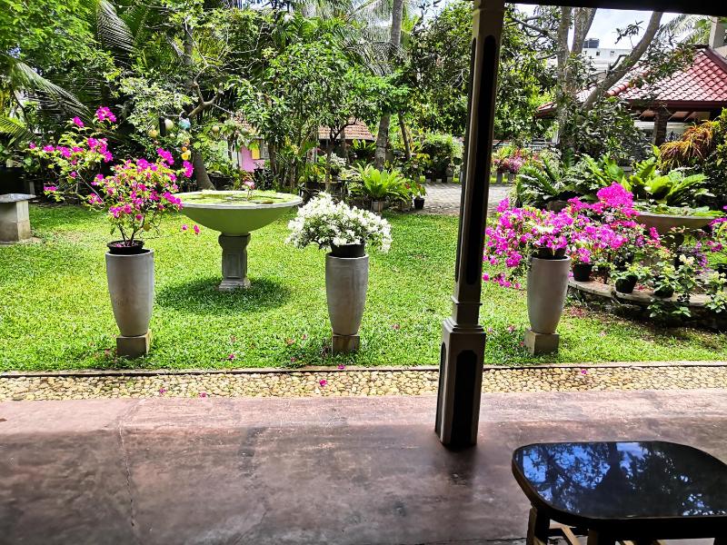 Dolphin Villa - image 7