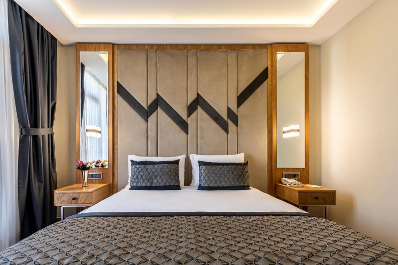 Endican Sultanahmet Hotel - image 6