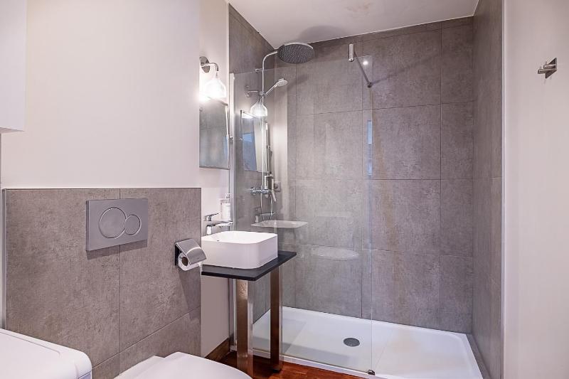 One-Bedroom Apartment image 4