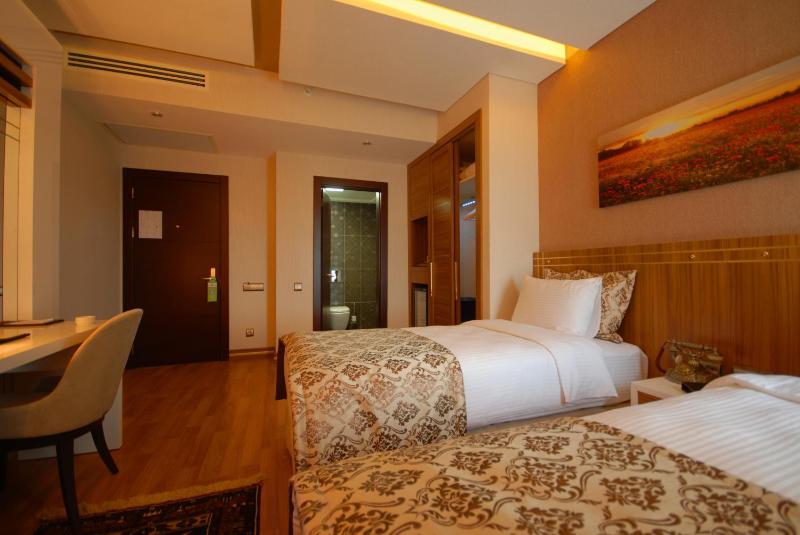 Double or Twin Room image 4