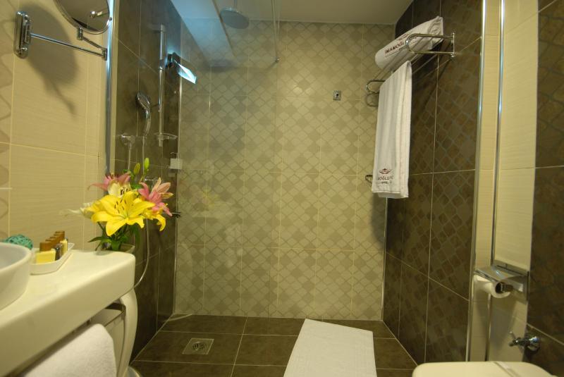 Double or Twin Room image 3