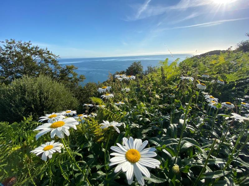 Rooms At Babbacombe - image 11