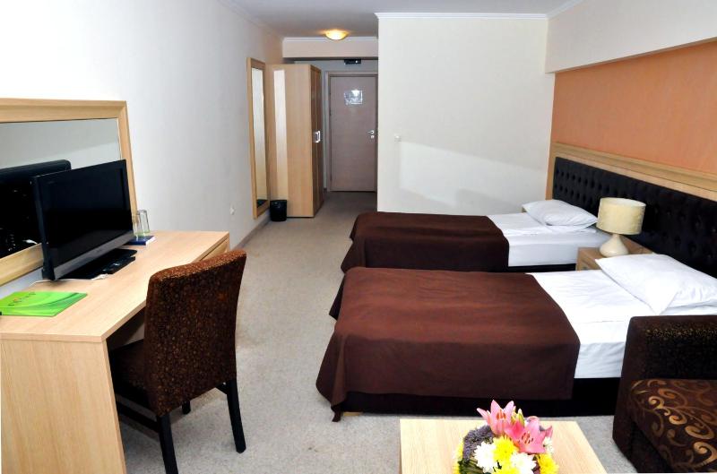 Deluxe Double or Twin Room with Balcony image 2