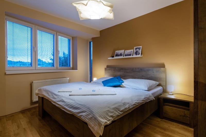 One-Bedroom Deluxe Apartment image 4