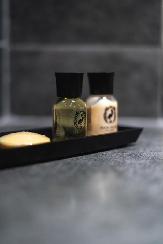 Deluxe Studio image 1