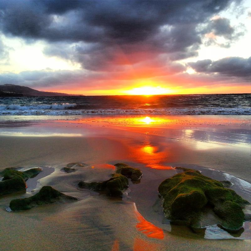 Brisamar Canteras - image 31