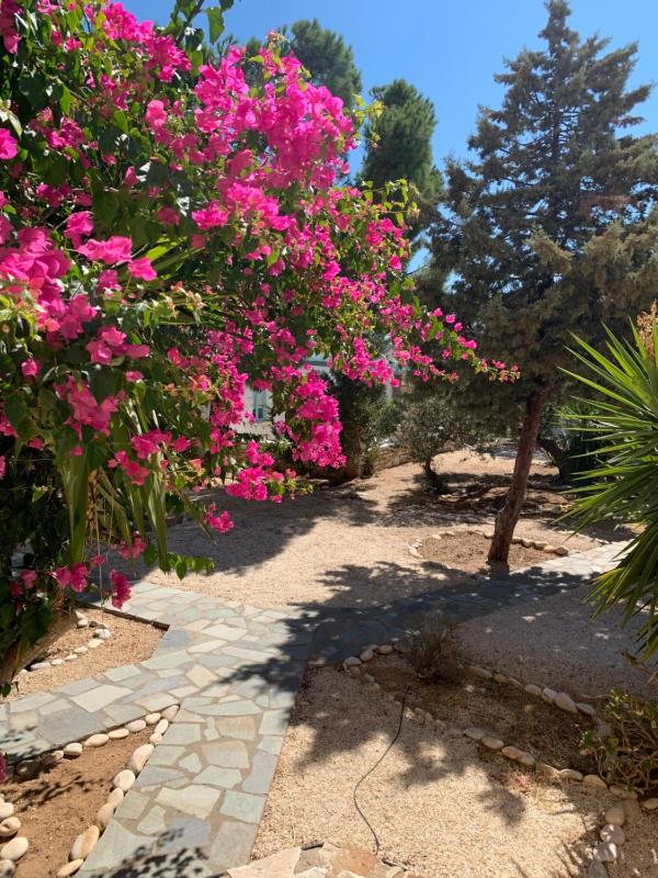 Anezina Village - image 25