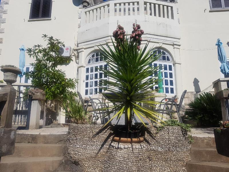 Villa Tiha - image 19