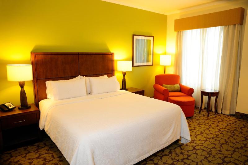 Hilton Garden Inn Panama City Downtown - image 10