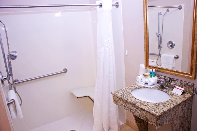 Standard King Room with Roll-In Shower - Mobility Access image 2