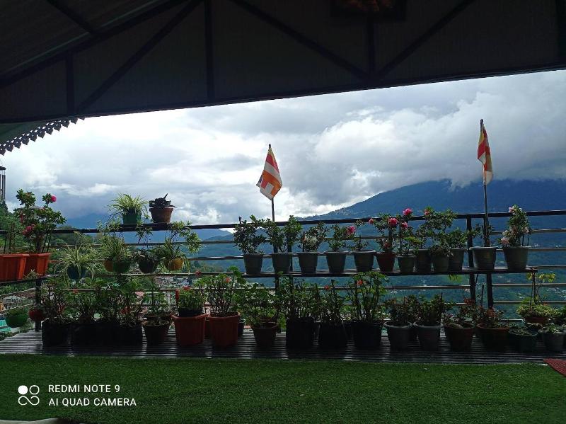 Esses House A Luxury Homestay and service apartment - image 4