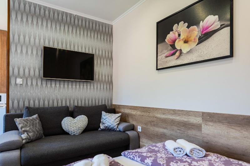 Studio Apartment image 4