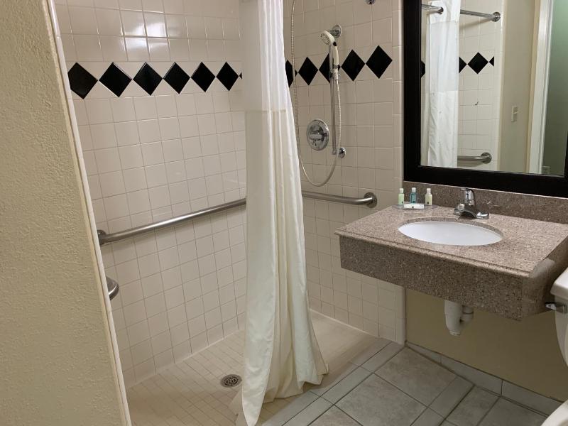 Quality Suites Houston NW Cy-Fair - image 16