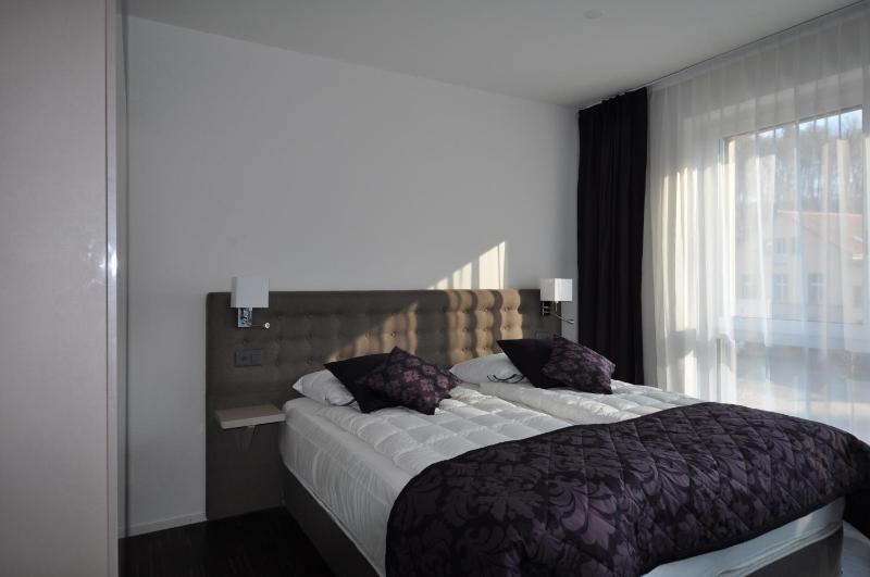 Deluxe Suite image 4