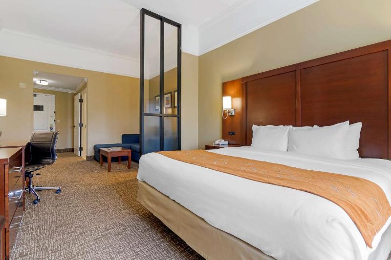 King Suite with Sofa-Bed - Accessible/Non-Smoking image 4