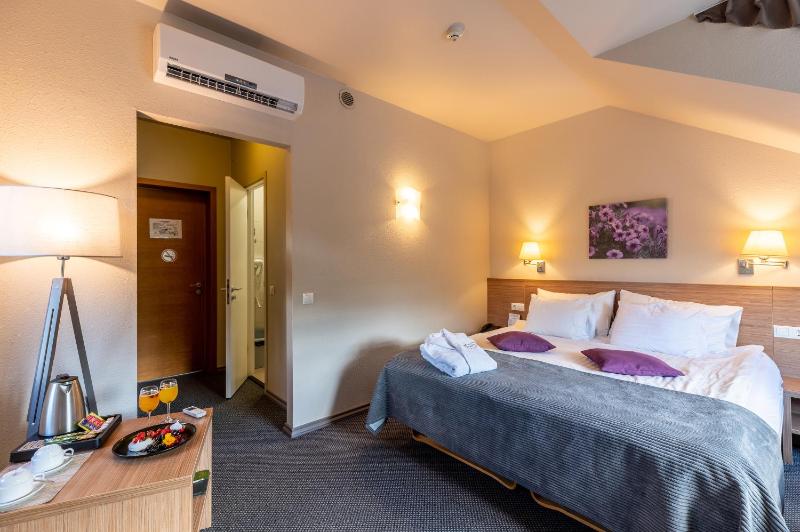 Superior Double Room image 1