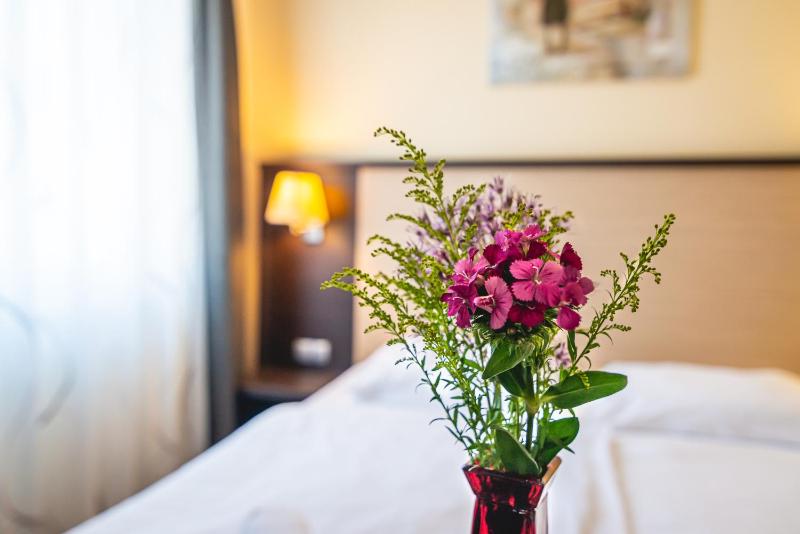 Single Room image 4