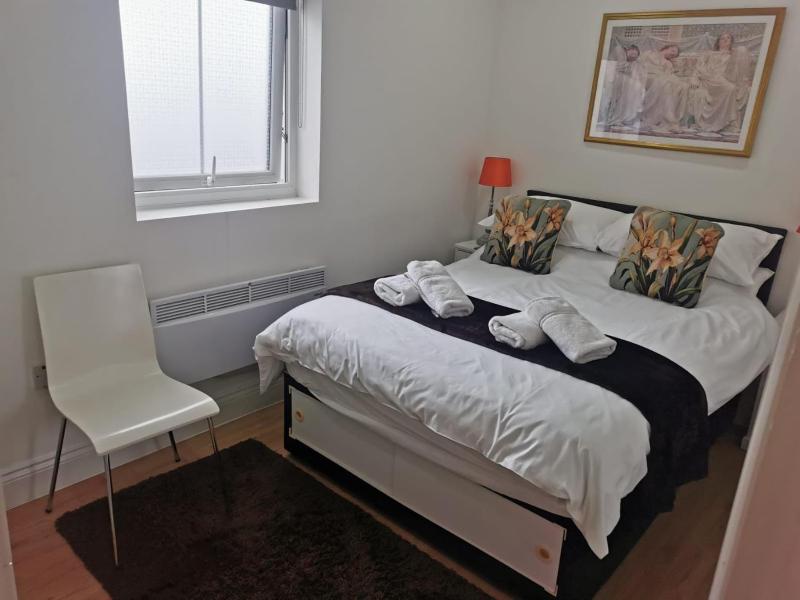 One-Bedroom Apartment image 1