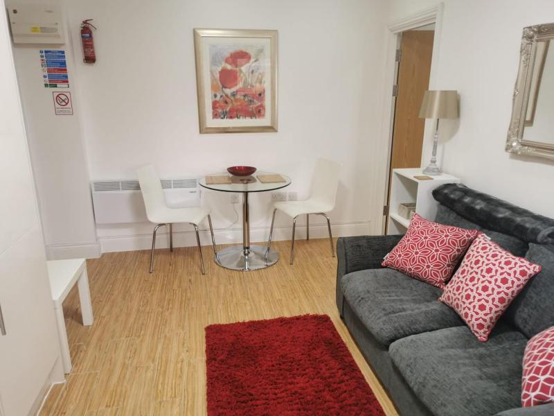 One-Bedroom Apartment image 3