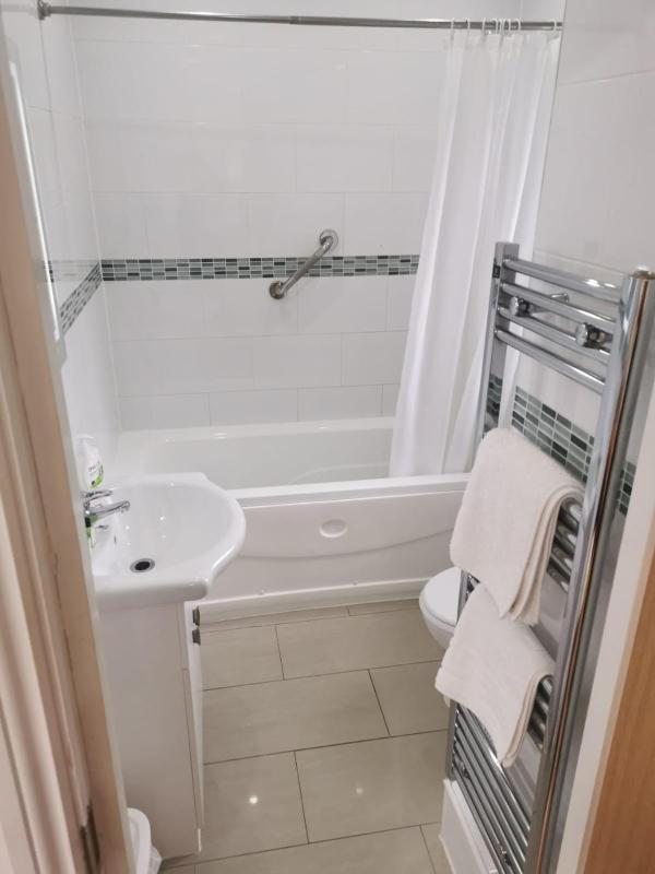 One-Bedroom Apartment image 2