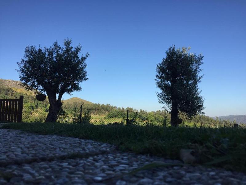 Three-Bedroom Townhouse image 4