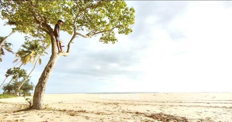 Marari Beach Pearl Homestay - image 39