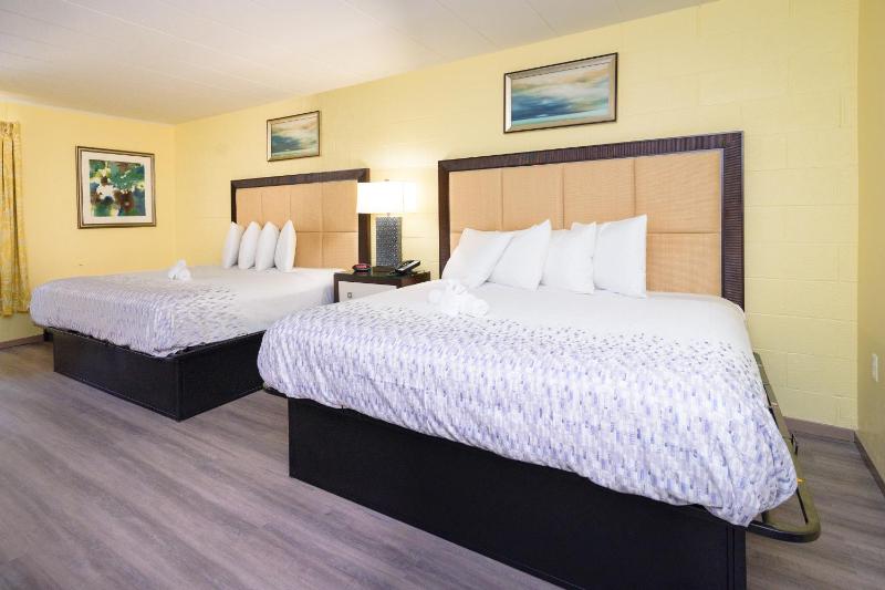 Deluxe Family Suite image 2