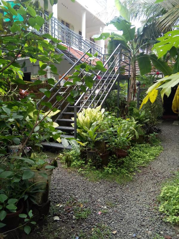 Coconut Grove - image 8