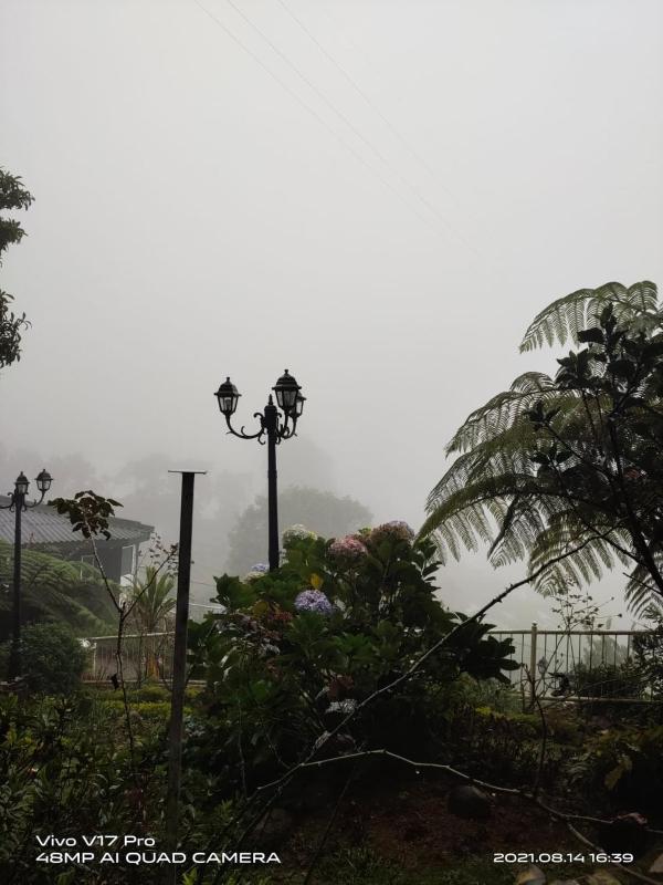 Misty Paradise of Lake Gregory - image 28