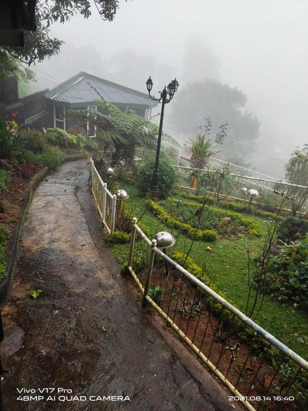 Misty Paradise of Lake Gregory - image 10