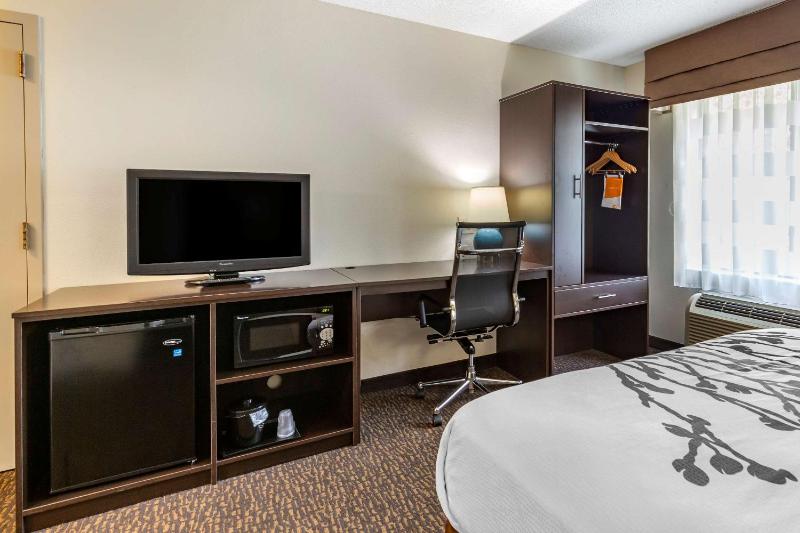 Queen Room - Accessible/Non-Smoking image 3