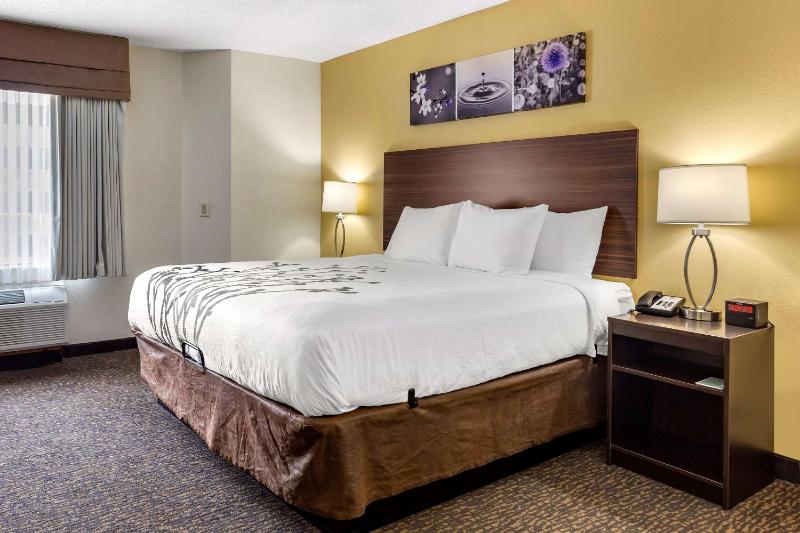 King Room - Non-Smoking image 3