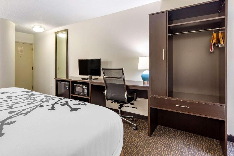 King Room - Non-Smoking image 2