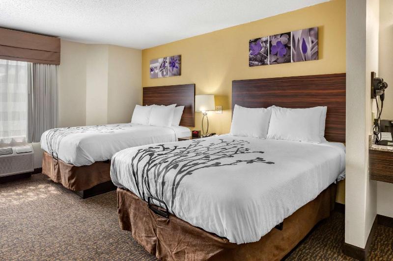 Queen Room with Two Queen Beds - Non-Smoking image 1