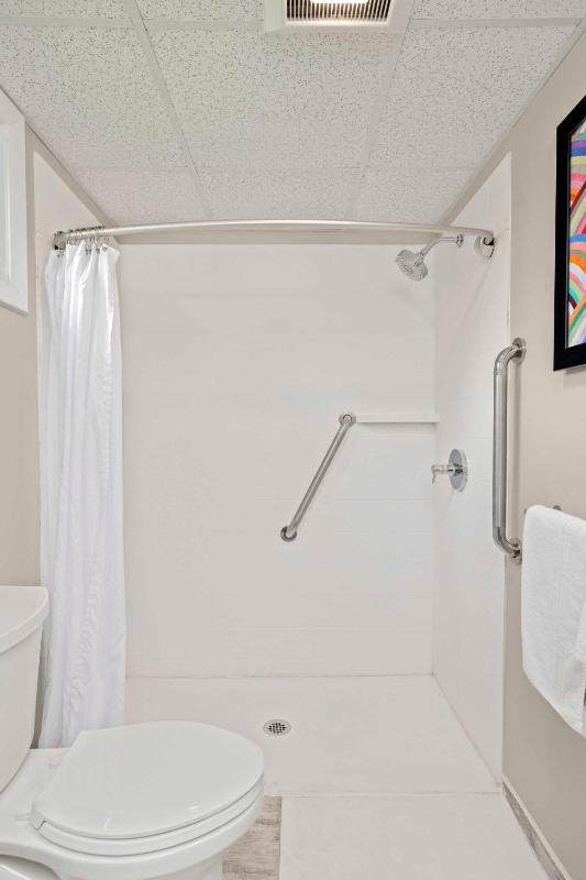 King Room - Disability Access image 4