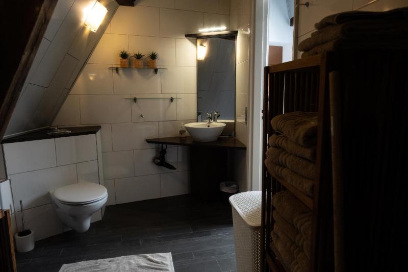 Apartment - Split Level image 4