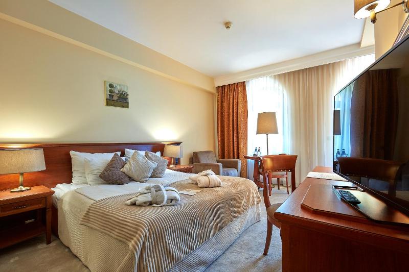 Double or Twin Room image 4