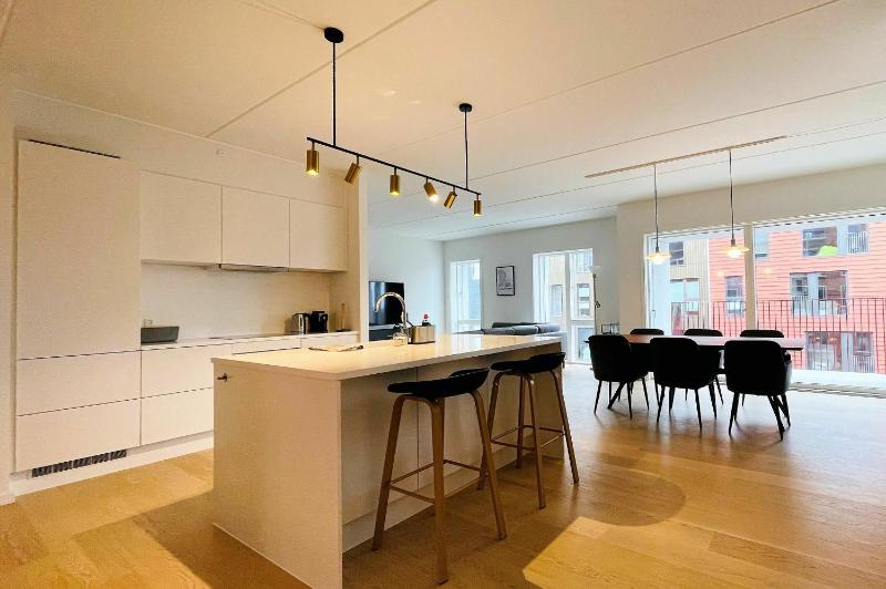 ApartmentInCopenhagen Apartment 1463 Images
