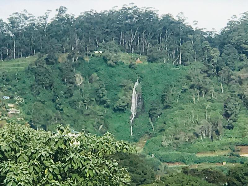 Shangri-La - image 22