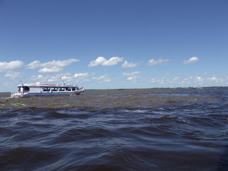Amazon Arowana Lodge - image 16
