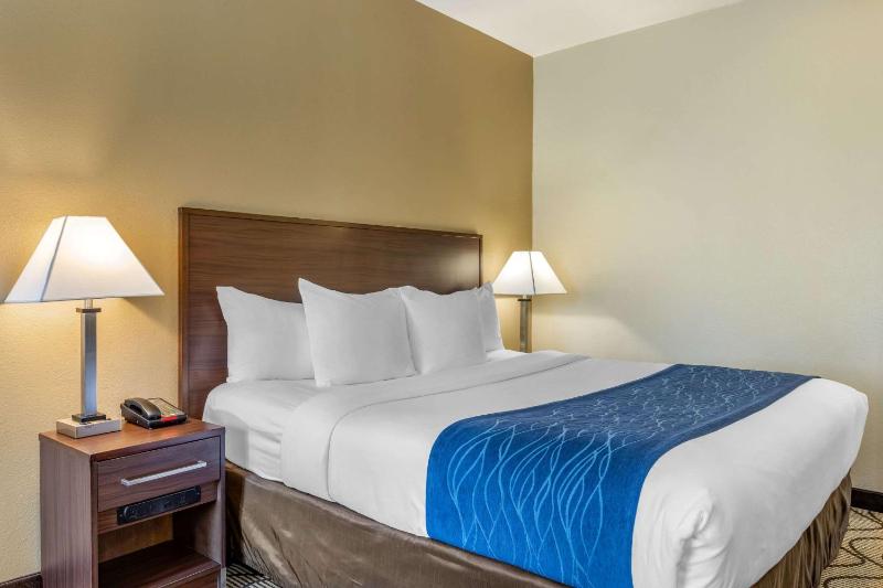 Standard Room, 1 King Bed, Non Smoking image 3
