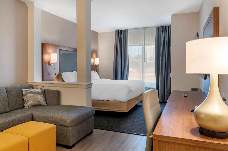 King Suite with Sofa Bed - Non-Smoking image 4