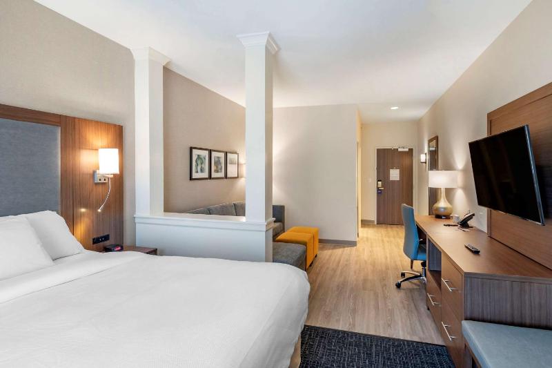 King Suite with Roll-in Shower Accessible/Non Smoking image 3