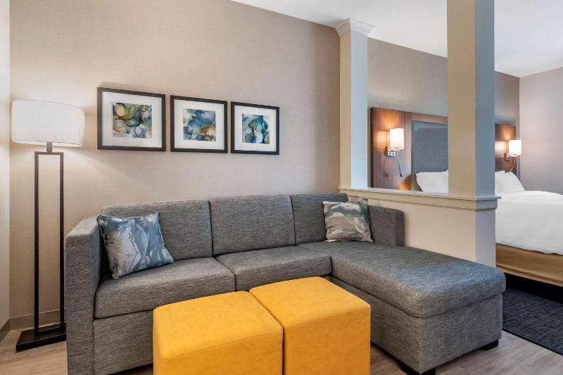King Suite with Sofa Bed - Non-Smoking image 2