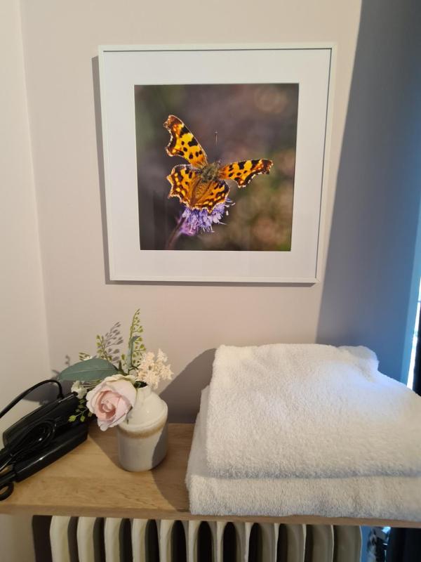 Standard Double Room with Shared Bathroom image 4
