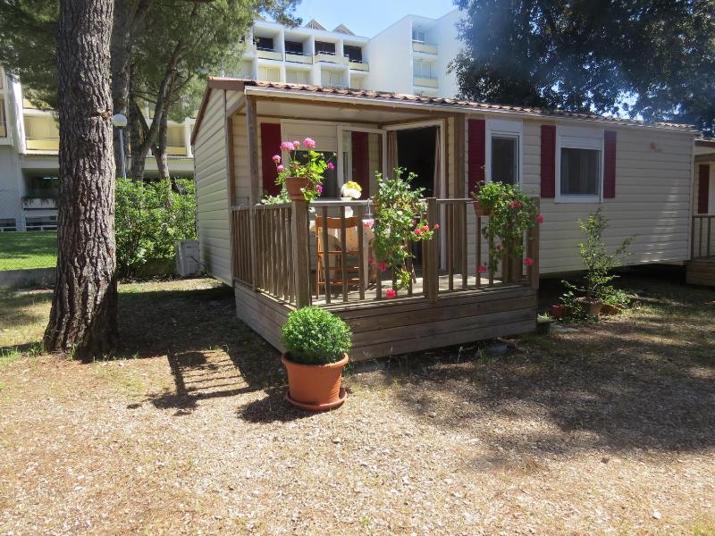 Two-Bedroom Mobile Home with Terrace image 2