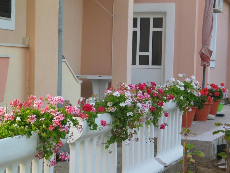 Guesthouse Privlaka (821) - image 6