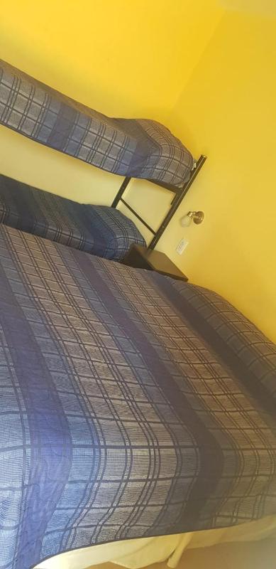 Nuevo Hotel Magnet - image 2
