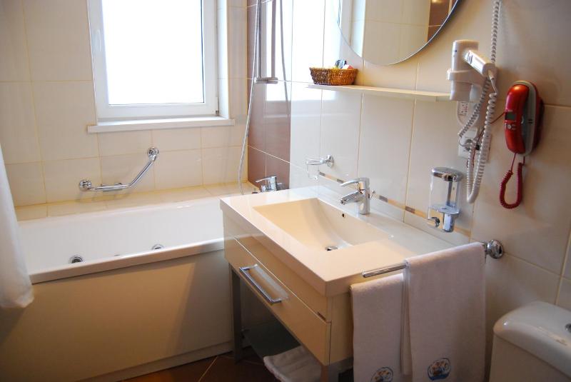 Superior Double or Twin Room image 2