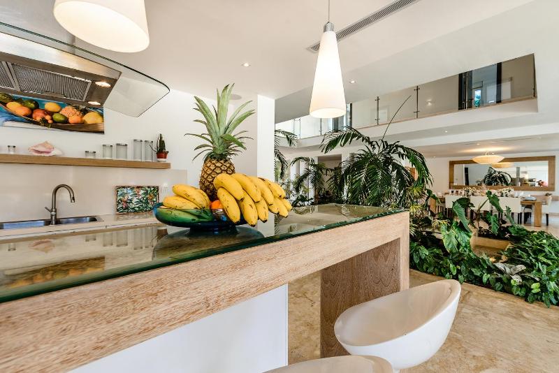 Best Private Cocotal Villas in Punta Cana - image 33
